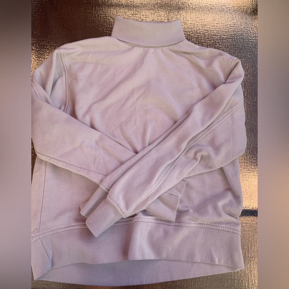 Zara Sweatshirt Turtleneck